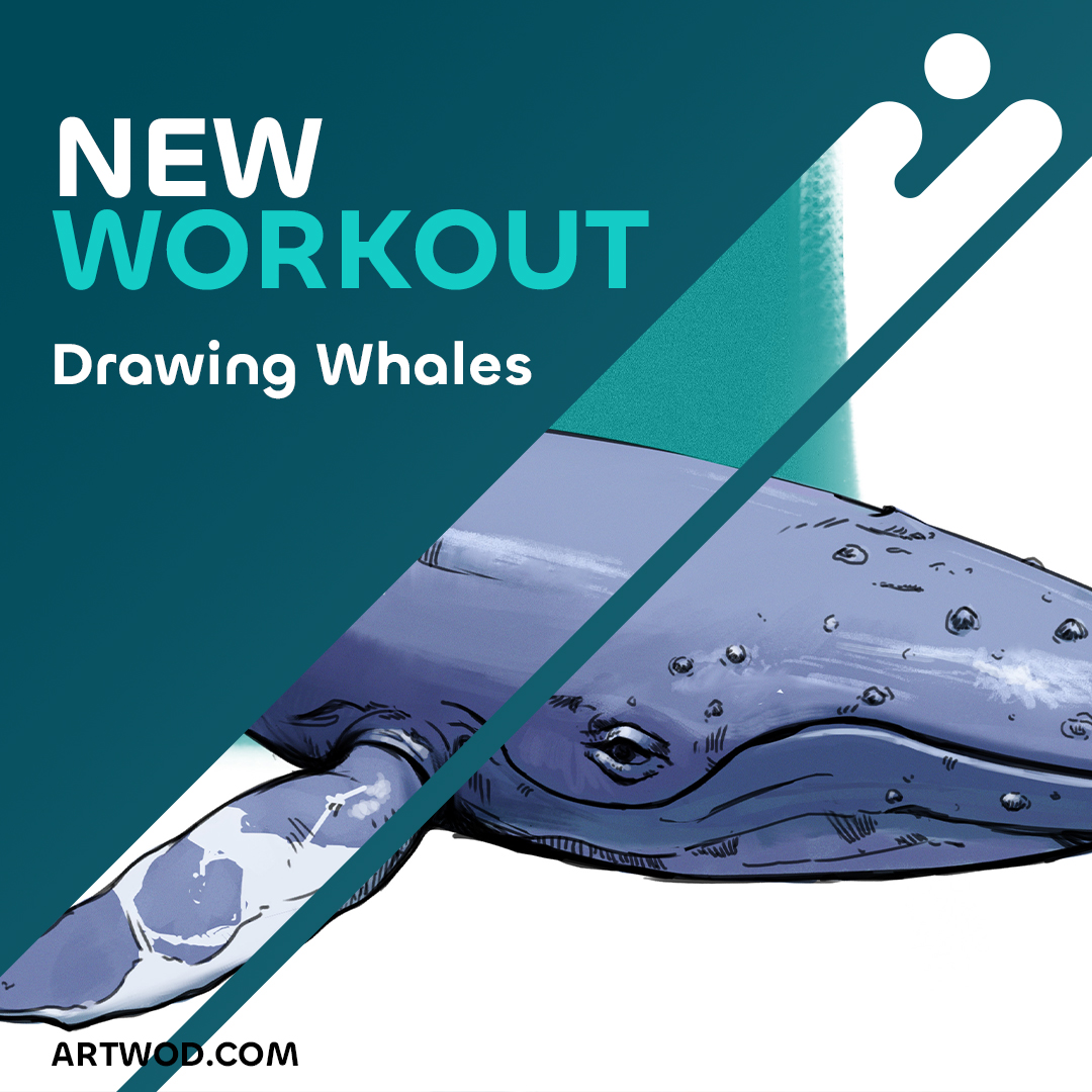 Desenhando com Estrutura