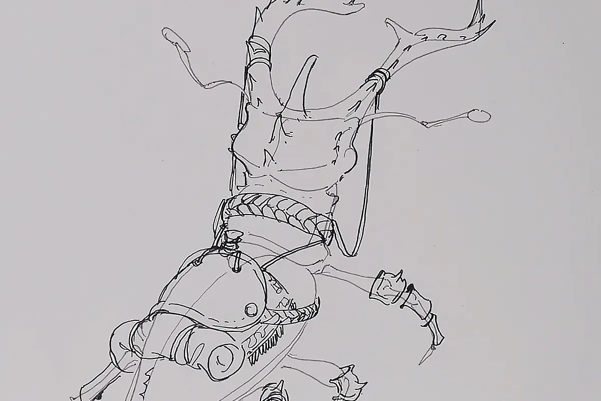 EVOLUÇÃO! EIS O BESOURO DE GUERRA! Para combate com montaria...